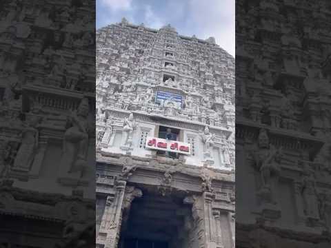 Thiruvanamalai #divine #blessing#happiness #viral video