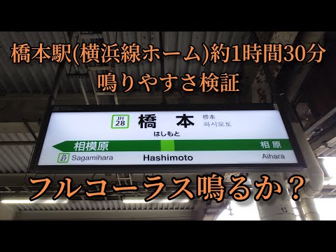 【フルコーラス鳴るか？】橋本駅(横浜線ホーム)で約1時間30分鳴りやすさ検証してみた結果 第36弾