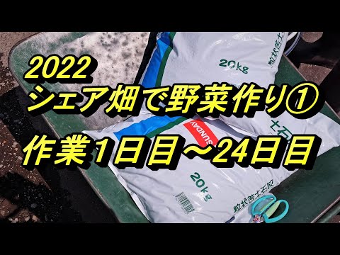 シェア畑で野菜作り２０２２①作業１日目～２４日目！