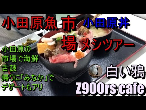 小田原魚市場の市場メシ　小田原丼