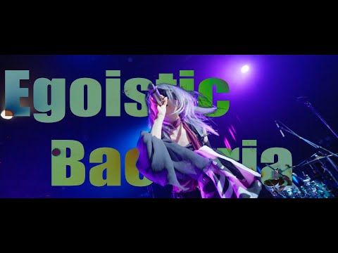 SERRA 『我儘バクテリア』Live Music Video / "Egoistic Bacteria"