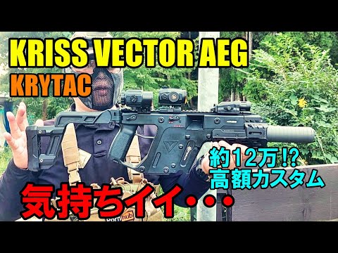 高額カスタム KRYTAC KRISS VECTOR AEG 電動ガン サバゲー 電子トリガー クリスベクター