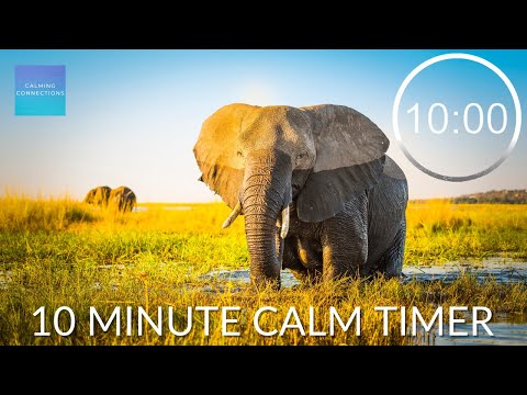 10 Minute Timer With Calming Music 🐘 ⏲ Countdown timer with inspiring Music, 10 minute pack up song