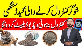 Chia Seeds Benefits For Diabetics | Diabetes Control Food.