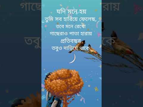 #shortsvideo #status #bangla #viralvideo