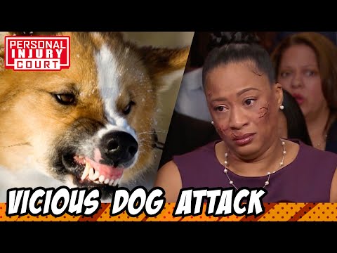 She Barely Survived This Dog Attack! | Personal Injury Court