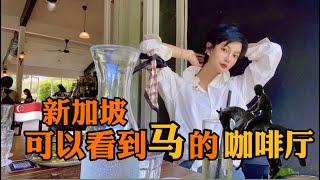 🇸🇬新加坡可以看马🐎的咖啡厅Riders cafe