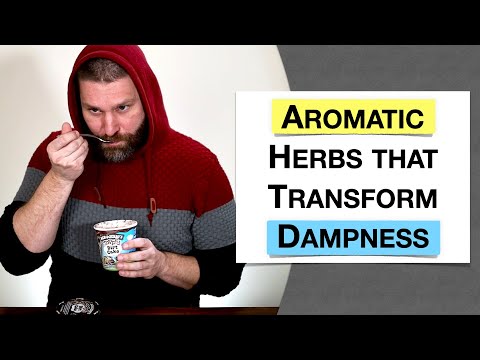 🌿 Herbology 2 Review - Aromatic Herbs that Transform Dampness (Extended Live Lecture)