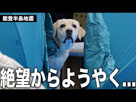 【緊急】ペット避難所開設！能登半島地震でバラバラになってしまった家族に希望が...