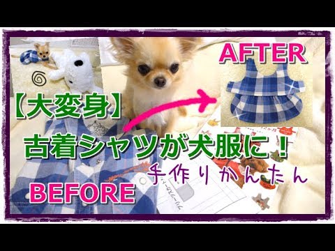 【大変身🌟】古着シャツが犬服に🐶👗手作り簡単 (手縫いも可）本の平な型紙でリメイク~How to make Dog clothes DIY