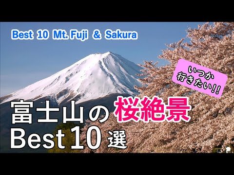 Top 10 best views of Mt. Fuji and cherry blossoms (Sakura) / Spectacular Views of Japan