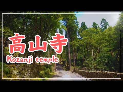 【3min Kyoto】3分で巡る「高山寺」~Kozanji temple, Kyoto Japan~