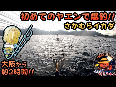 JapanTraditional Squid Fishing "Yaen"