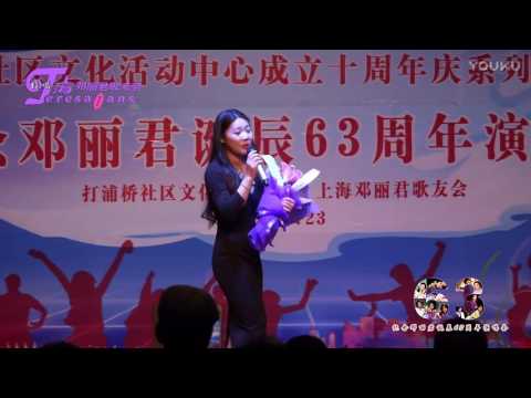 王静 Wang Jing 恰似你的温柔