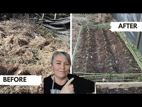 Making a FREE Bamboo Bed for my Strawberry Plants