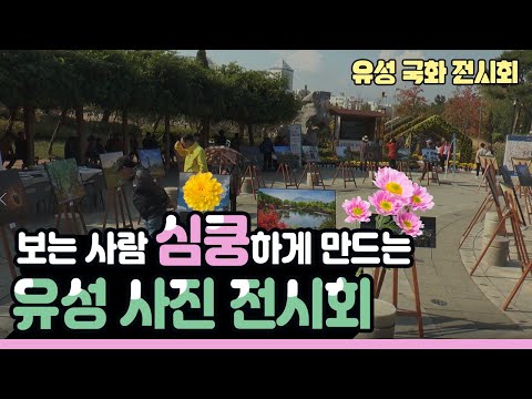 보는 사람 심쿵하게 만드는 유성 사진 전시회(유성 국화 축제)