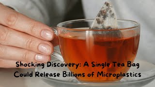 Shocking Discovery: A Single Tea Bag Could Release Billions of Microplastics