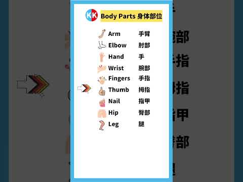 【零基礎英文】身體部位單詞 body parts #英文   #常用 英文 #單詞 口語 #常見短語 #常見短語