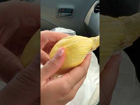 Eat durian or eat rocks? #shorts #subscribe #share #viral #thailand #khunman