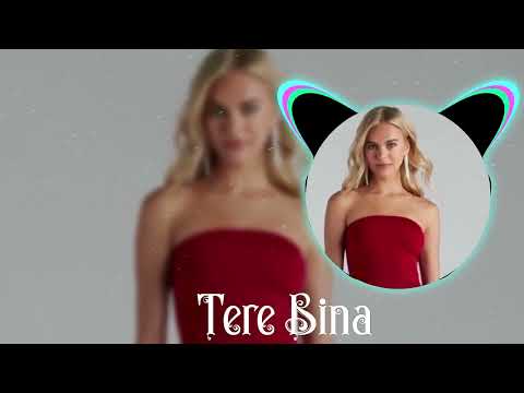 Tere Bina (Remix) | Trend Şarkı 2024