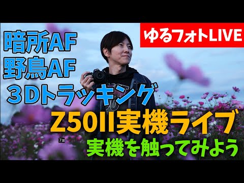 Ninkon  Z50II実機生配信 暗所AF 3Dトラッキング 野鳥AF