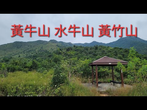 黃泥頭 黃牛山 水牛山 黃竹山 花心坑 黃泥頭