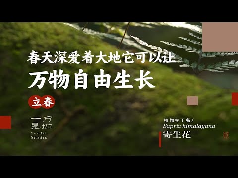 立春万物起始，一切更生，向春天学习做一个从容的妈妈 #立春