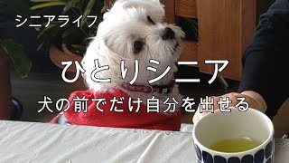 【シニアライフ】なかなかひとり暮らしに慣れません。犬にだけ自分をさらけ出す日常。ひとりになって愛犬の存在の大きさを感じます。今年は初の一人大掃除。換気口の掃除がわからない。