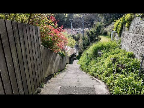 Stroll through a quiet suburban village and back alleys. From Kita-Kamakura to Kamakura【4K Japan】