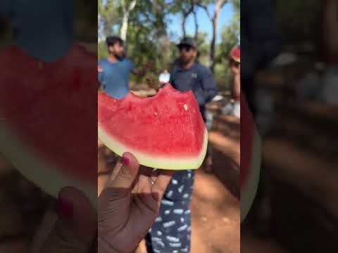 Watermelon time