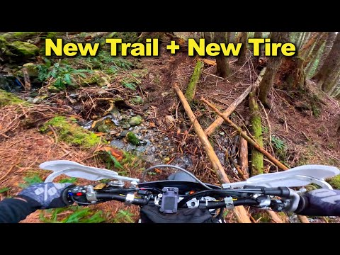 Brand New Trail & AT81EX First Impressions