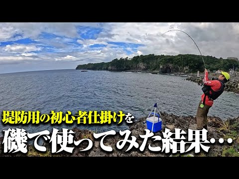 こんなに釣れるのか！？初心者向け仕掛けを磯に持って行ったら…堤防ではなかなか釣れないような魚が次々とアタックしてきた件