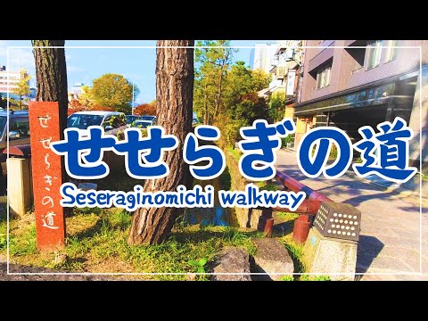 【3min Kyoto】3分で巡る「せせらぎの道」~Seseraginomichi walkway, Kyoto Japan~