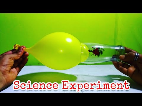 5 Easy Science Experiment to do at Home for Kids