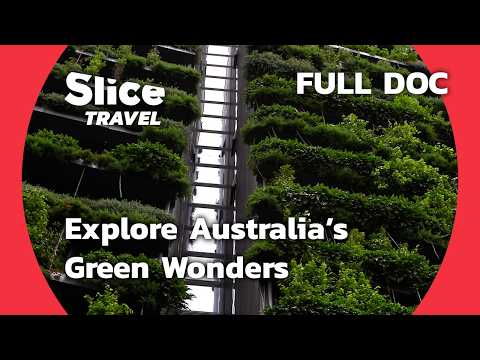 Australia’s Green Wonders: From Eucalyptus Giants to Koalas | SLICE TRAVEL | FULL DOC