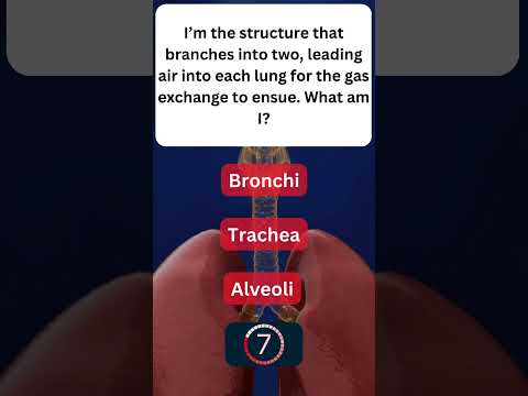 Learning About Your Respiratory System! 🌬️ #RespiratorySystem 3