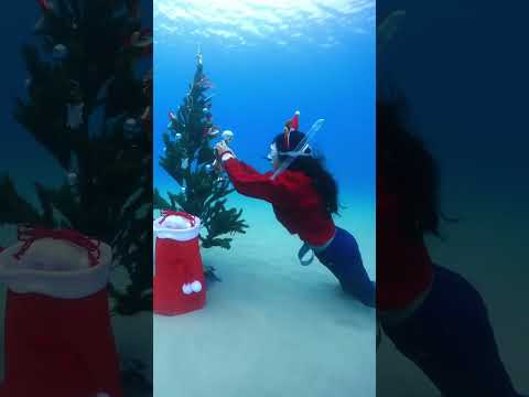 フリーダイバー風クリスマス①水中ツリーの飾り付け編