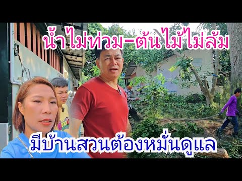 บ้านสวนต้องหมั่นดูแล กำภูโชคดีมีพี่เขยเก่ง #บ้านสวนกำภูEp1158