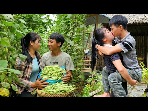 Harvesting the best bean crop for sale - Simple cabbage garden care, Young couple. Linh's Life