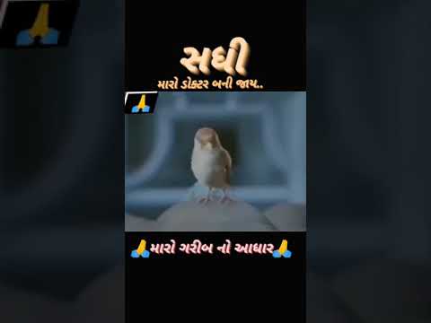 🔥કે 🙏માતા માતા 🙏કરતા તા આઈ મારી માતા💫💯 નિતિન કોલવડા#gujaratistatus