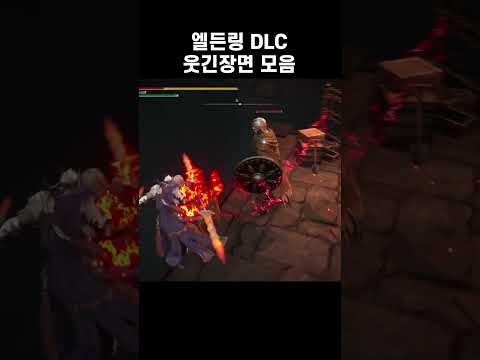 엘든링 dlc 황금 나무의 그림자 웃긴 장면 모음 #eldenring #funnymoments