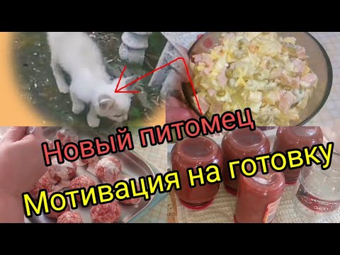 Влог. Мой день. Мотивация на готовку. Отличная идея к ужину.