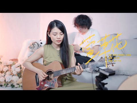 【喵了個藝】張小斐《萱草花》吉他彈唱翻唱  | guitar cover |