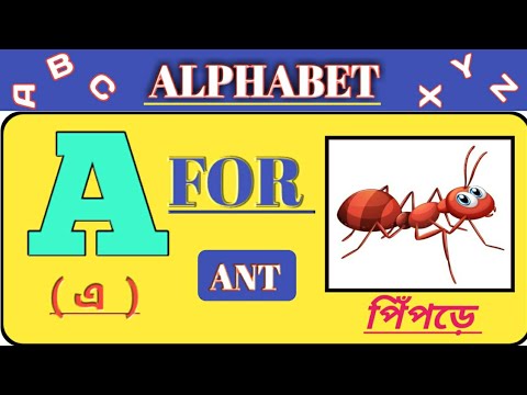 A for ant | abcd | a to z abcd | abcd rhymes | kids abc | learning ABC alphabets