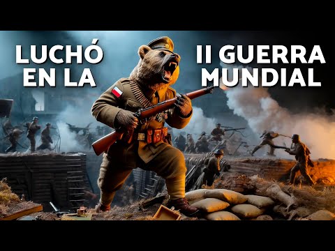 Wojtek, el OSO SOLDADO que llegó a SARGENTO 🐻💣 | CRÍTICA y REFLEXIÓN