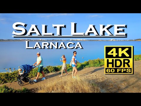 Salt Lake Larnaca Cyprus , 4K 60fps HDR (UHD) Dolby Atmos 💖 The Best Places 👀 Walking Tour