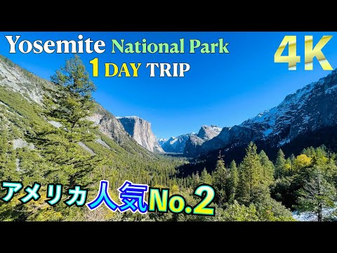 【絶景】ヨセミテ国立公園が納得のアメリカ人気No.2の観光地でした！[Yosemite 4K]