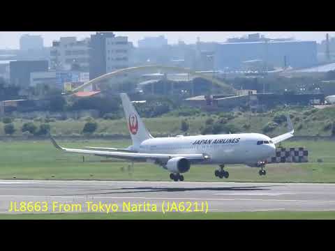 Planespotting - Taiwan Taoyuan Int'l Airport 2024/6/8