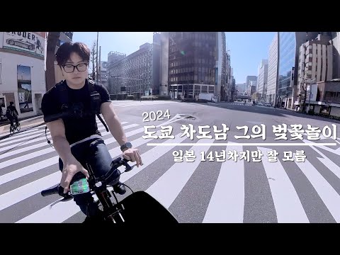 도쿄 직장인 I 도쿄 차도남 그의 벚꽃놀이