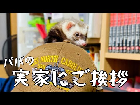 【お正月】パパ実家で新年のご挨拶＆大運動会‼︎【ferret#1718】